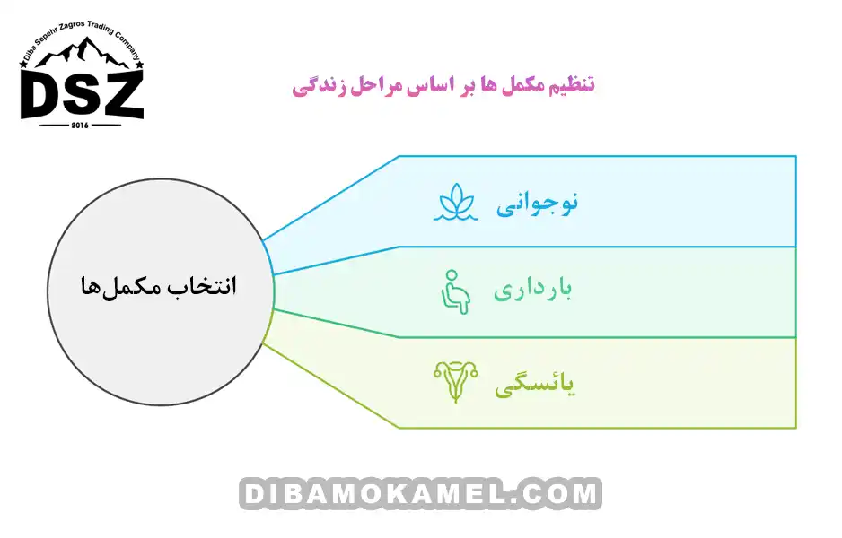 تنظیم-مکمل-ها-بر-اساس-مراحل-زندگی