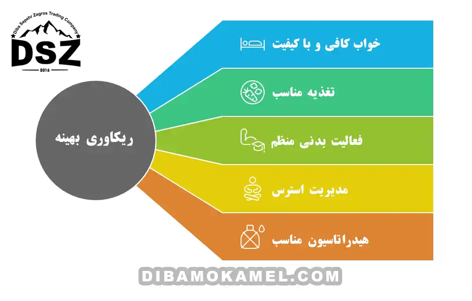 ریکاوری-بهینه-بدن