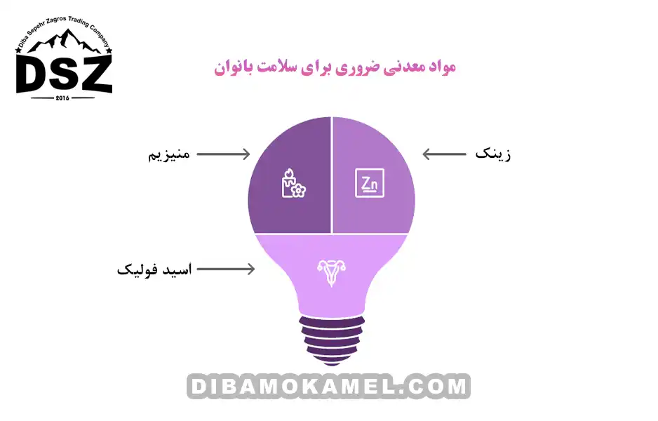 مواد-معدنی-ضروری-برای-سلامت-بانوان