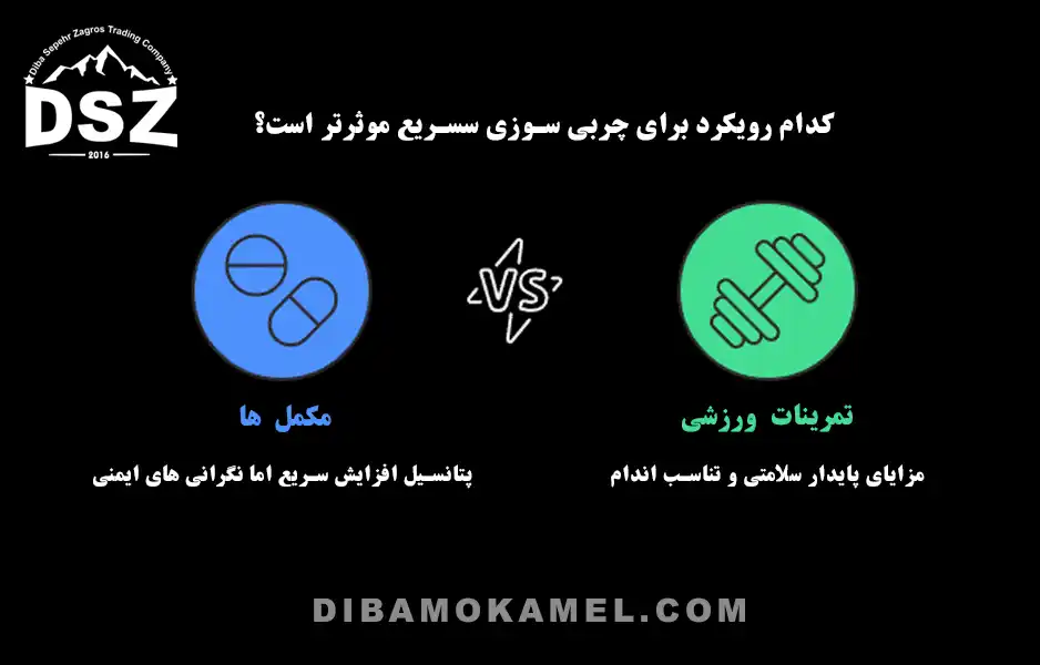 آیا-تمرینات-هوازی-برای-چربی‌-سوزی-موثر-هستند؟