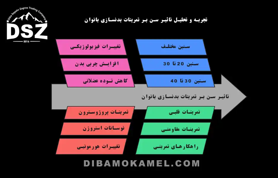تجربه-و-تحلیل-تاثیر-سن-بر-تمرینات-بدنسازی-بانوان