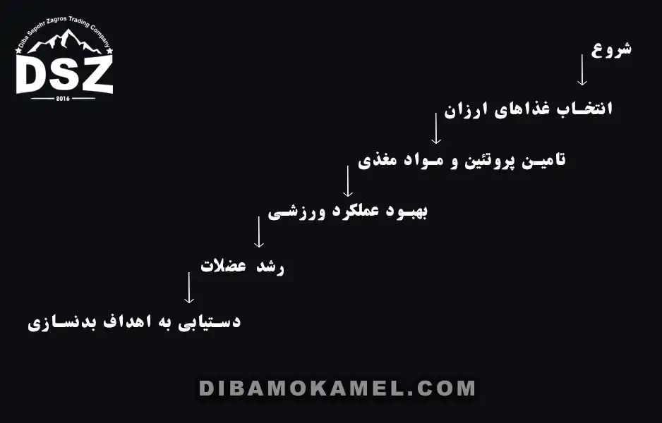 غذای-ارزان-و-موثر-برای-عضله-‌سازی-بدون-نیاز-به-مکمل