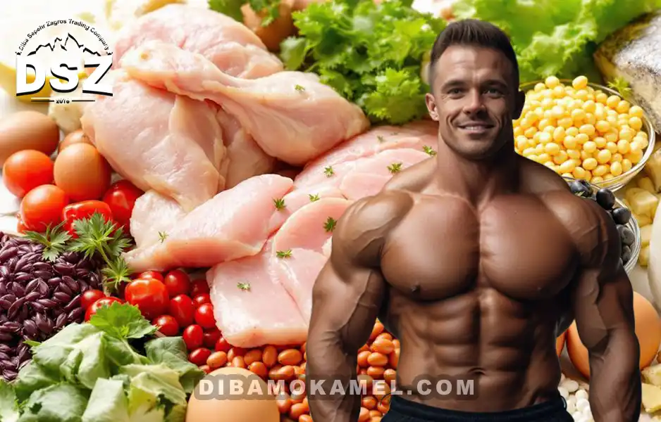 اهمیت-پروتئین-در-عضله‌سازی