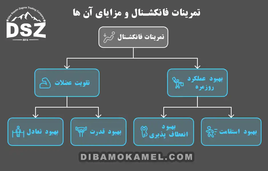 تمرینات-فانکشنال-و-مزایای-آن-ها