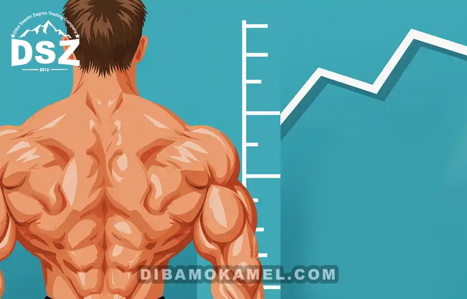 منظور از افزایش قدرت بدن چیست؟
