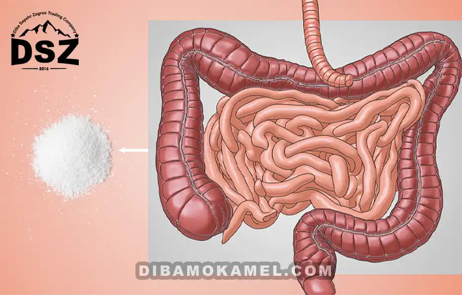 آیا نمک کم سدیم می‌تواند از التهاب معده و روده جلوگیری کند؟