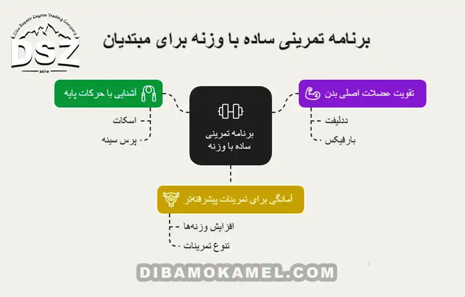 برنامه-تمرینی-ساده-با-وزنه-برای-مبتدیان