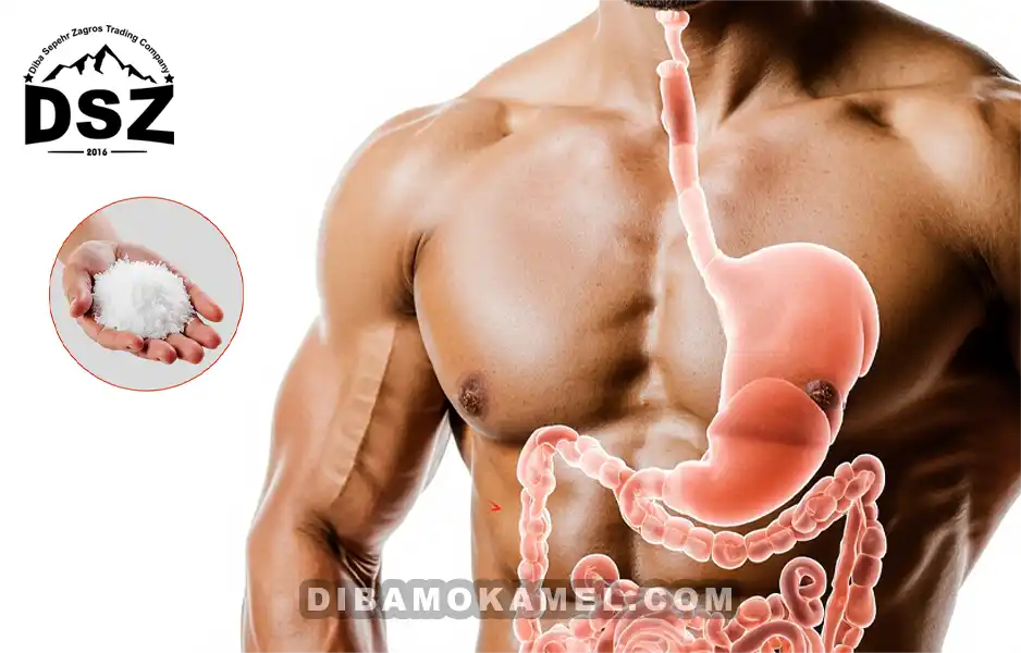 تأثیر نمک کم‌ سدیم بر گوارش بدنسازان