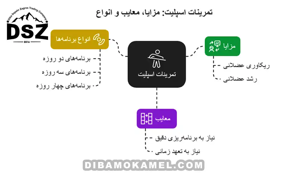 تمرینات-اسپلیت