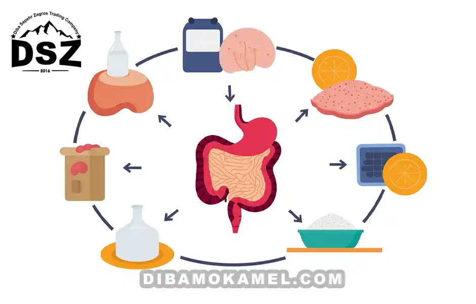نقش نمک کم سدیم در تسهیل فرآیند هضم غذا