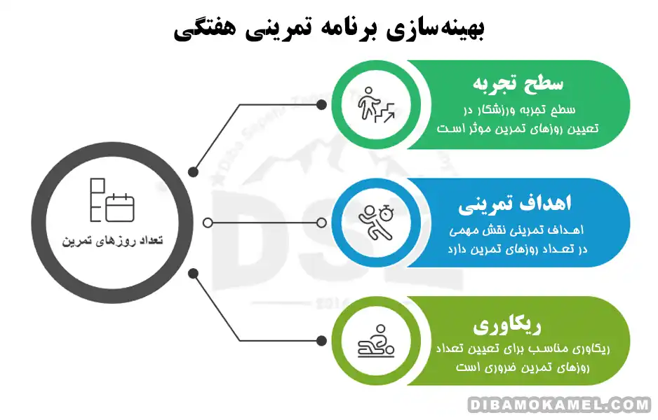 بهترین تعداد روز تمرین بدنسازی در هفته 