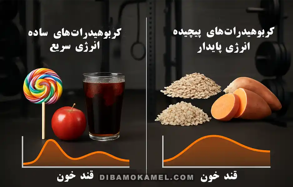 تفاوت کربوهیدرات ساده و پیچیده در برنامه بدنسازی