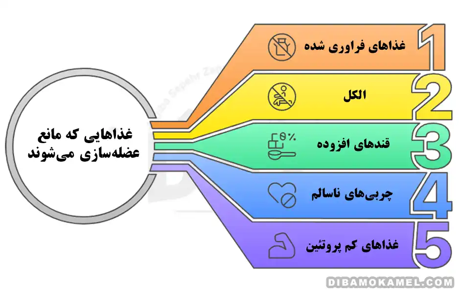 غذاهای مضر برای عضله سازی | چه چیزهایی مانع رشد می‌شوند؟ 