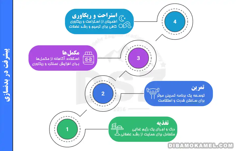 سوالات بدنسازی مبتدیها | از برنامه تا تغذیه
