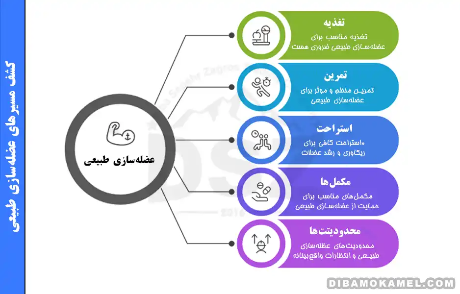 عضله سازی طبیعی | برنامه تمرین و تغذیه لازم