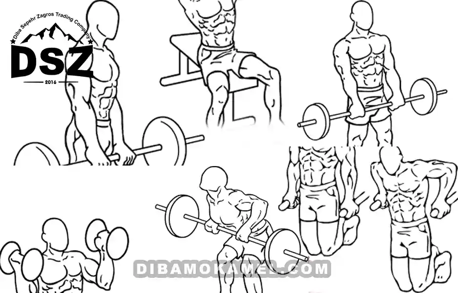 مستر المپیا