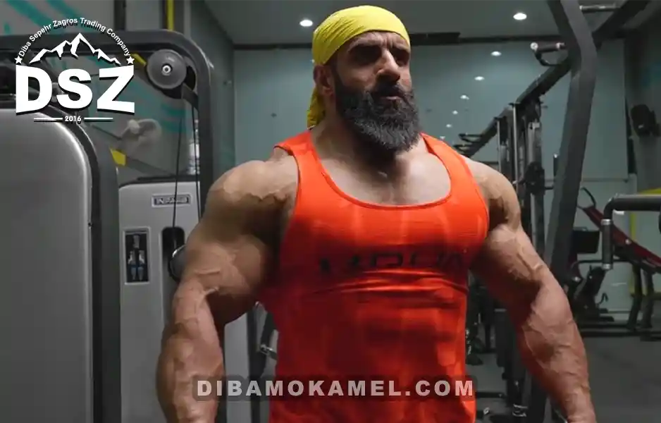 بیوگرافی هادی چوپان