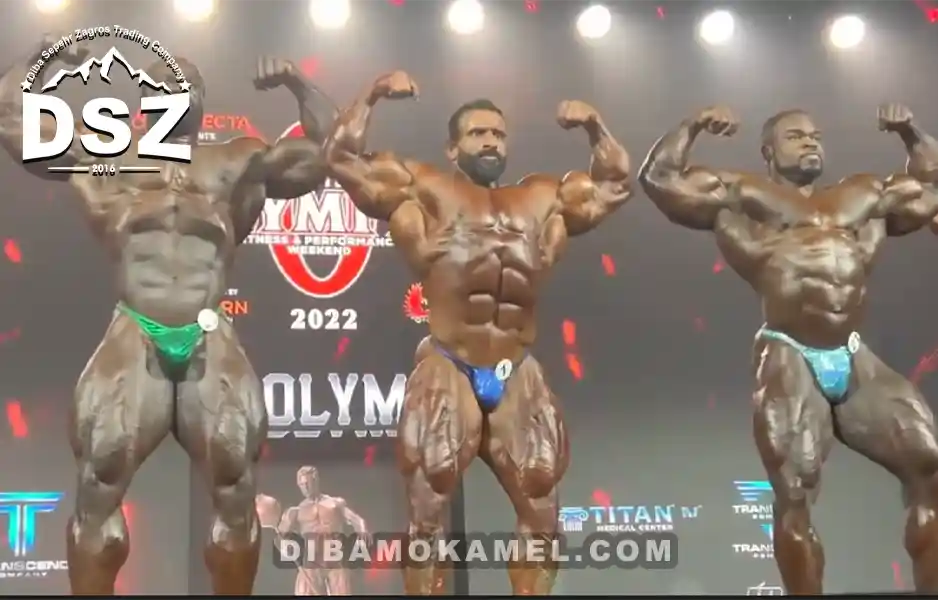 بیوگرافی هادی چوپان