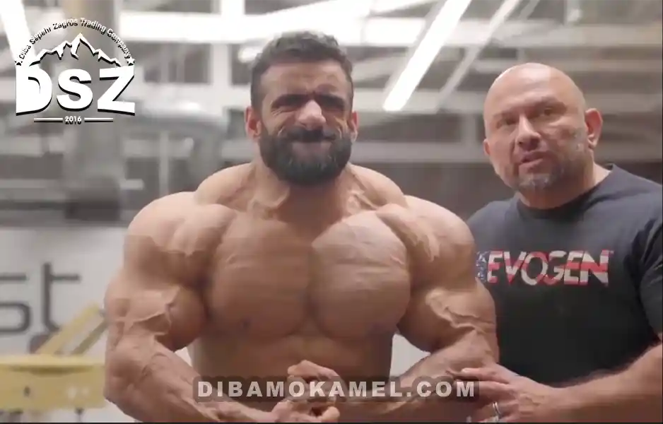 بیوگرافی هادی چوپان