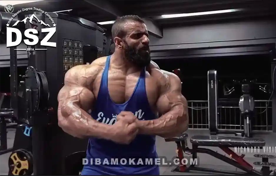 بیوگرافی هادی چوپان