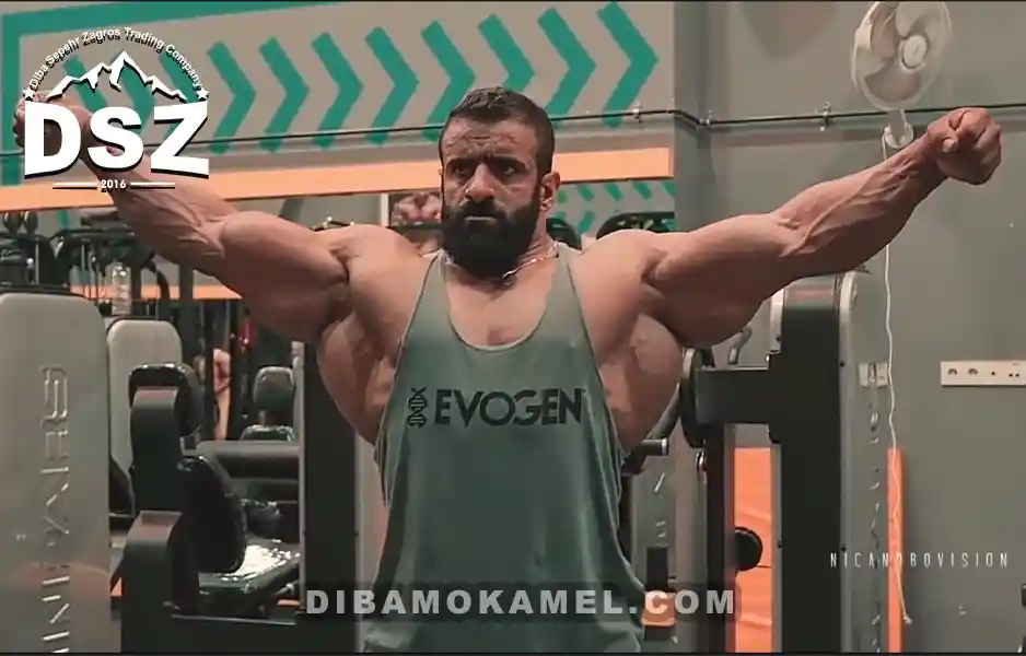 بیوگرافی هادی چوپان