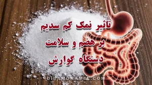 تأثیر نمک کم سدیم بر هضم و سلامت دستگاه گوارش