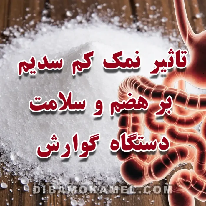تأثیر نمک کم سدیم بر هضم و سلامت دستگاه گوارش