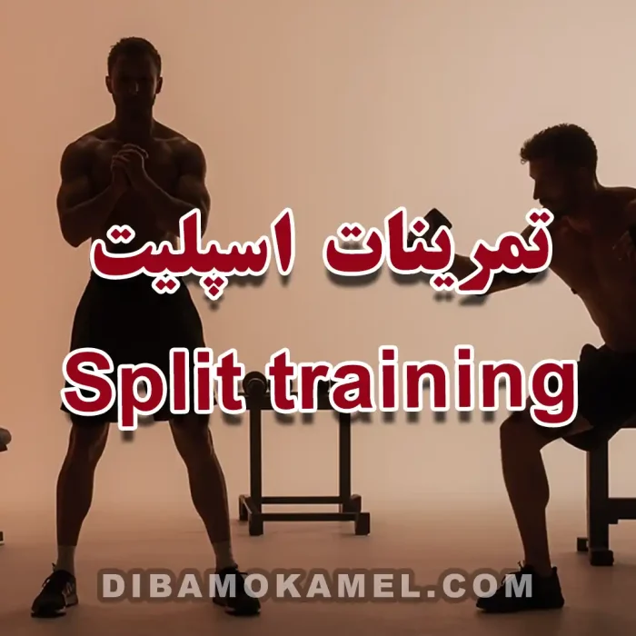 تمرینات اسپلیت (Split training) چیست؟
